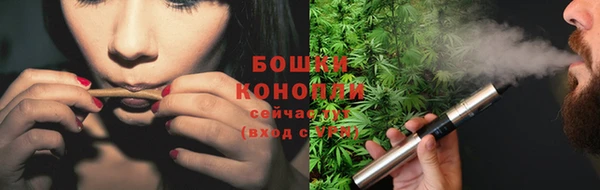 спайс Аркадак