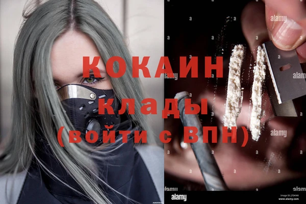 спайс Аркадак