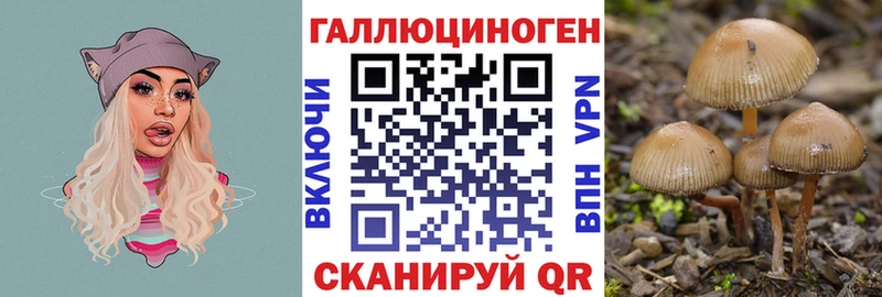 Галлюциногенные грибы ЛСД  Малмыж 